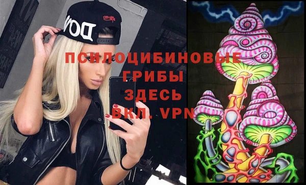 шишки Алзамай