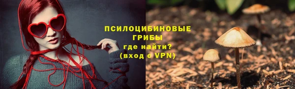 шишки Алзамай