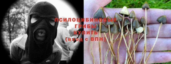 а пвп мука Алексеевка