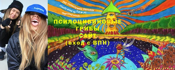 прущие крисы Алексин