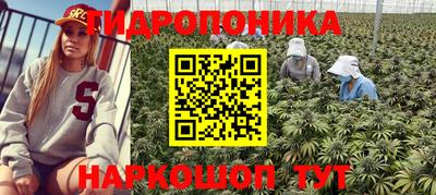 мяу мяу мука Усть-Джегута
