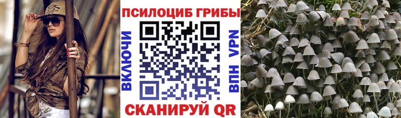 где найти наркотики  мориарти состав  Галлюциногенные грибы GOLDEN TEACHER  Ревда  OMG ТОР 