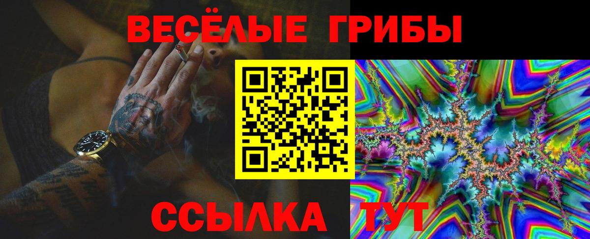 Галлюциногенные грибы мицелий Ревда