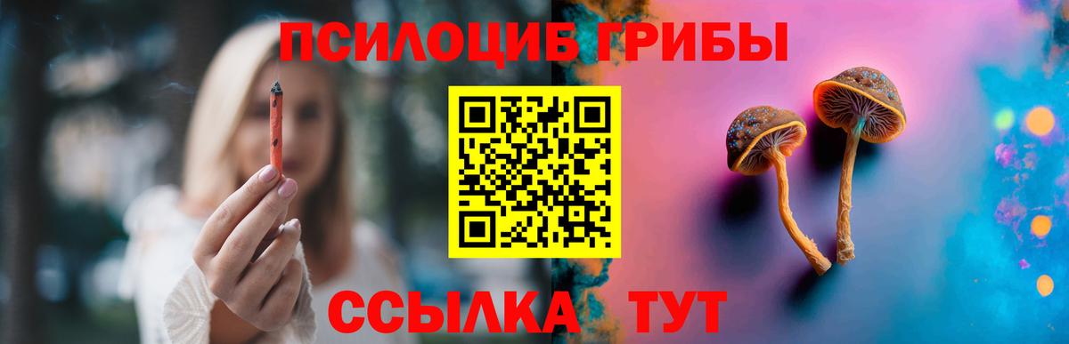 где можно купить наркотик  Галлюциногенные грибы Psilocybine cubensis  Вход с VPN  Ревда  Галлюциногенные грибы Psilocybine cubensis 